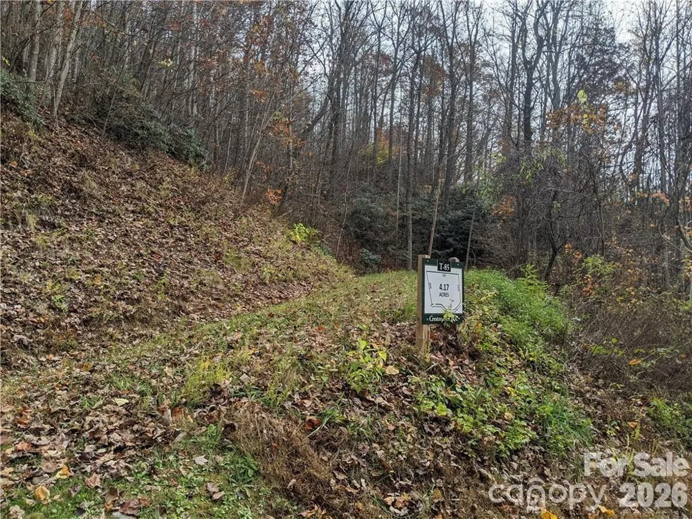 367 Kestrel Lane #T-85 Black Mountain, NC 28711