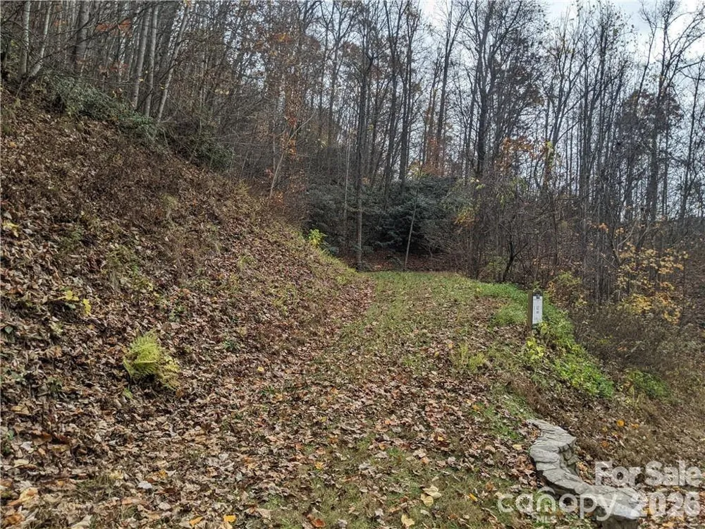 367 Kestrel Lane #T-85 Black Mountain, NC 28711