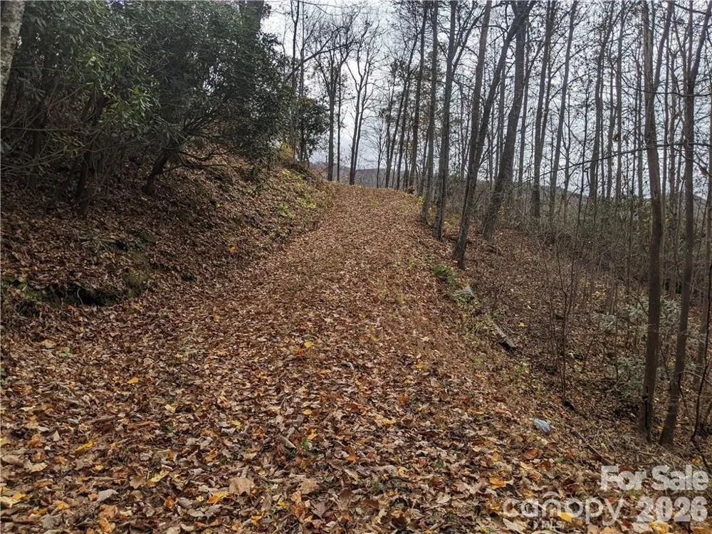 367 Kestrel Lane #T-85 Black Mountain, NC 28711