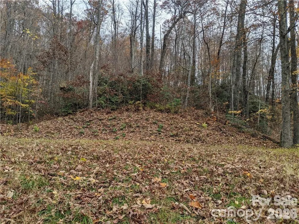 367 Kestrel Lane #T-85 Black Mountain, NC 28711