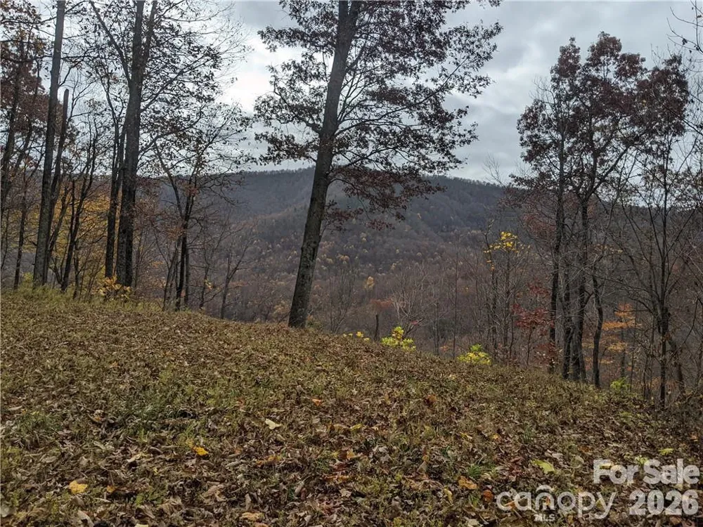 367 Kestrel Lane #T-85 Black Mountain, NC 28711