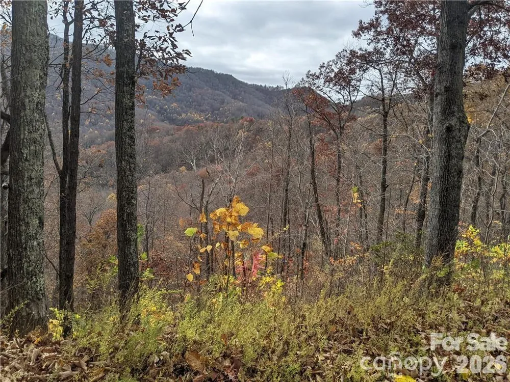 367 Kestrel Lane #T-85 Black Mountain, NC 28711