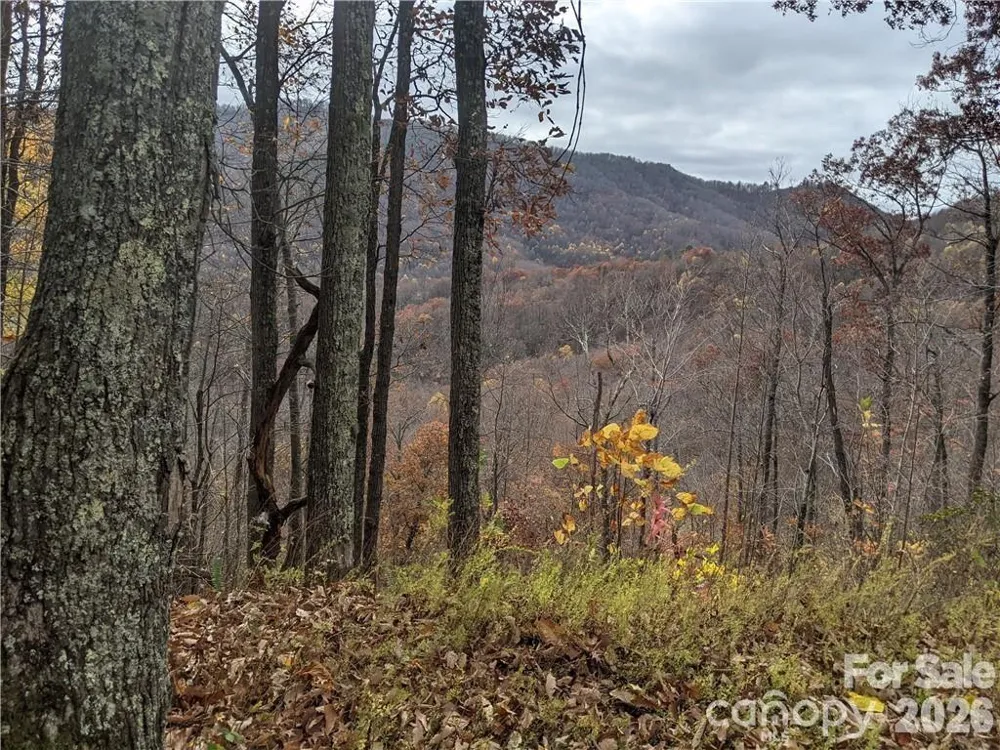 367 Kestrel Lane #T-85 Black Mountain, NC 28711
