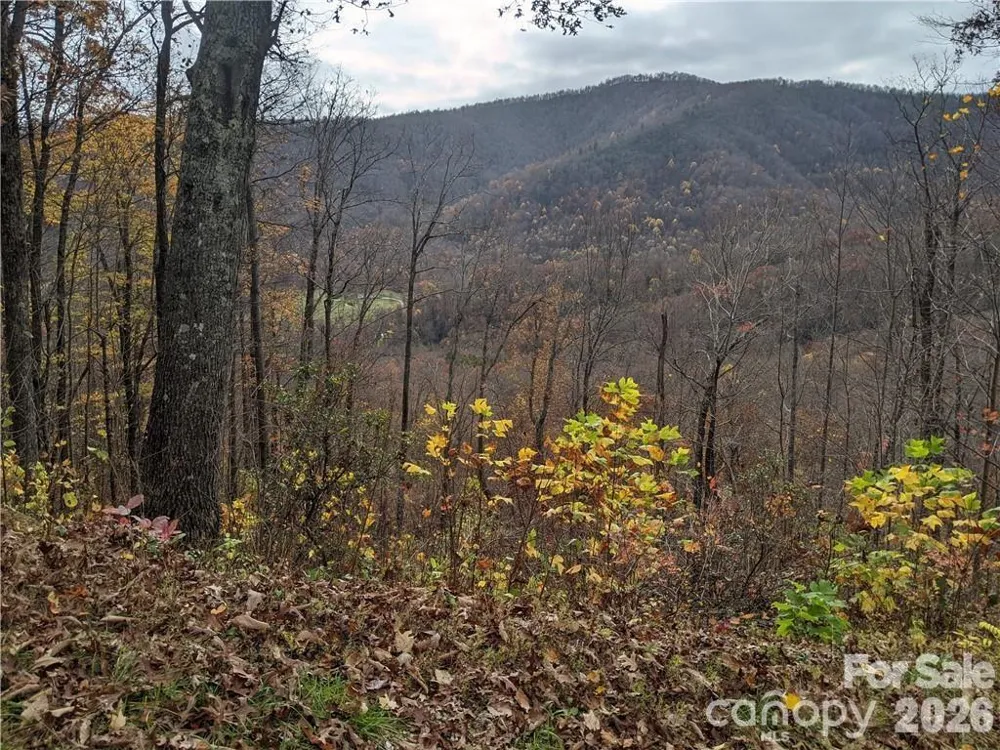 367 Kestrel Lane #T-85 Black Mountain, NC 28711