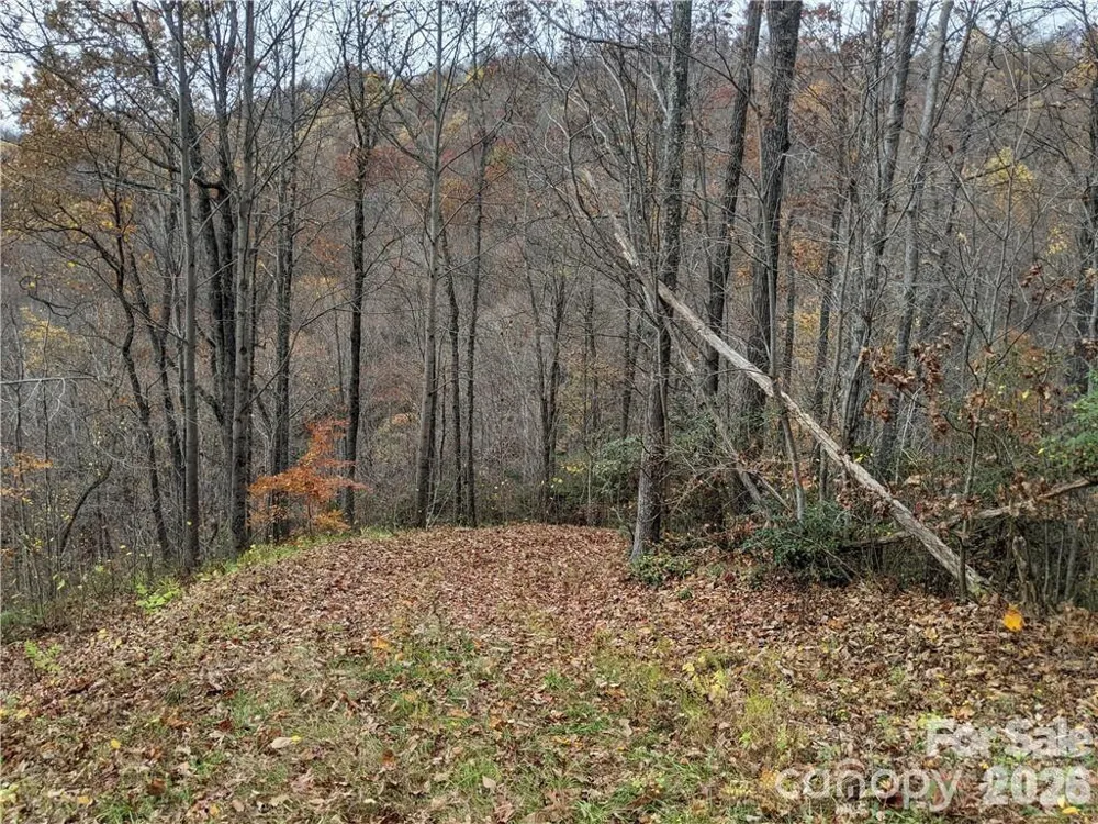 367 Kestrel Lane #T-85 Black Mountain, NC 28711