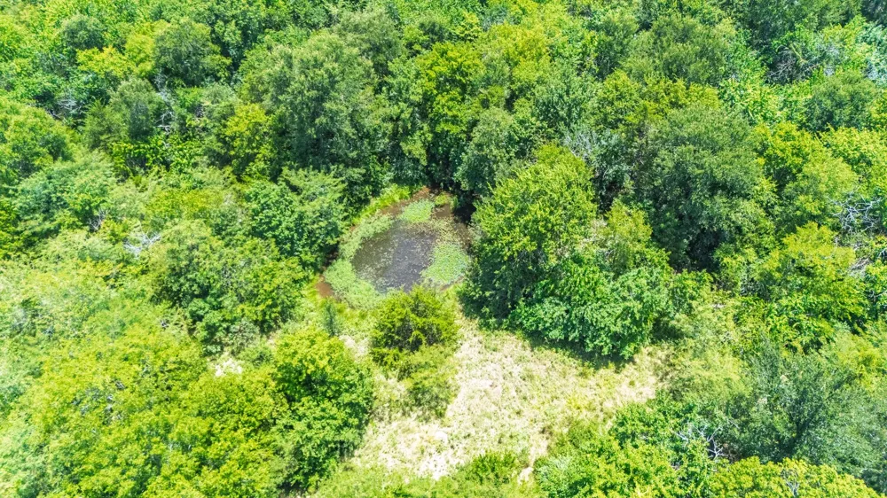 Fm 2649 Lone Oak, TX 75453