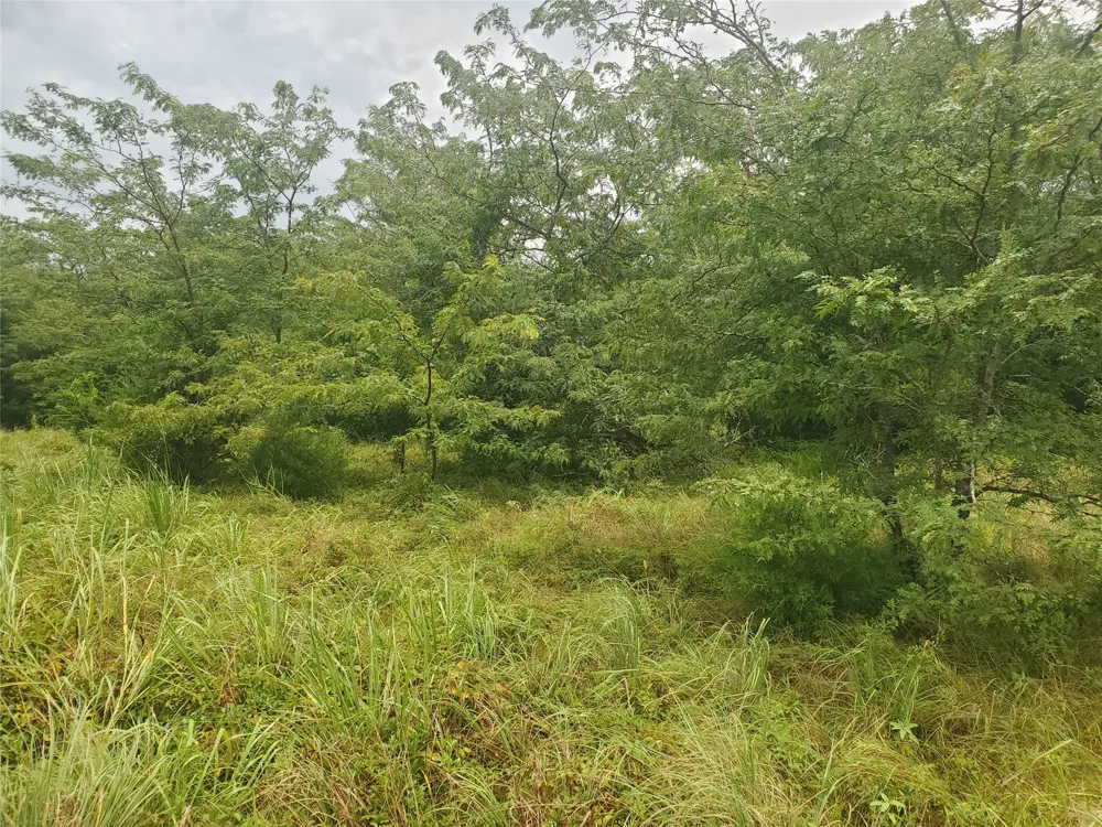 Fm 2649 Lone Oak, TX 75453