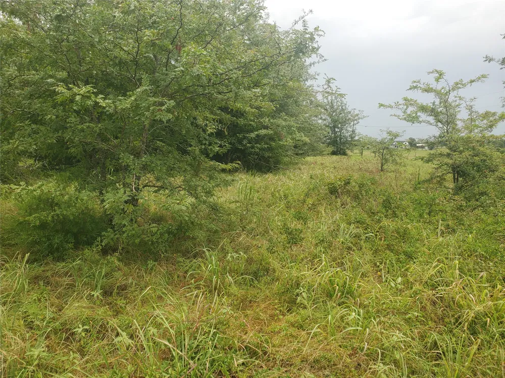 Fm 2649 Lone Oak, TX 75453