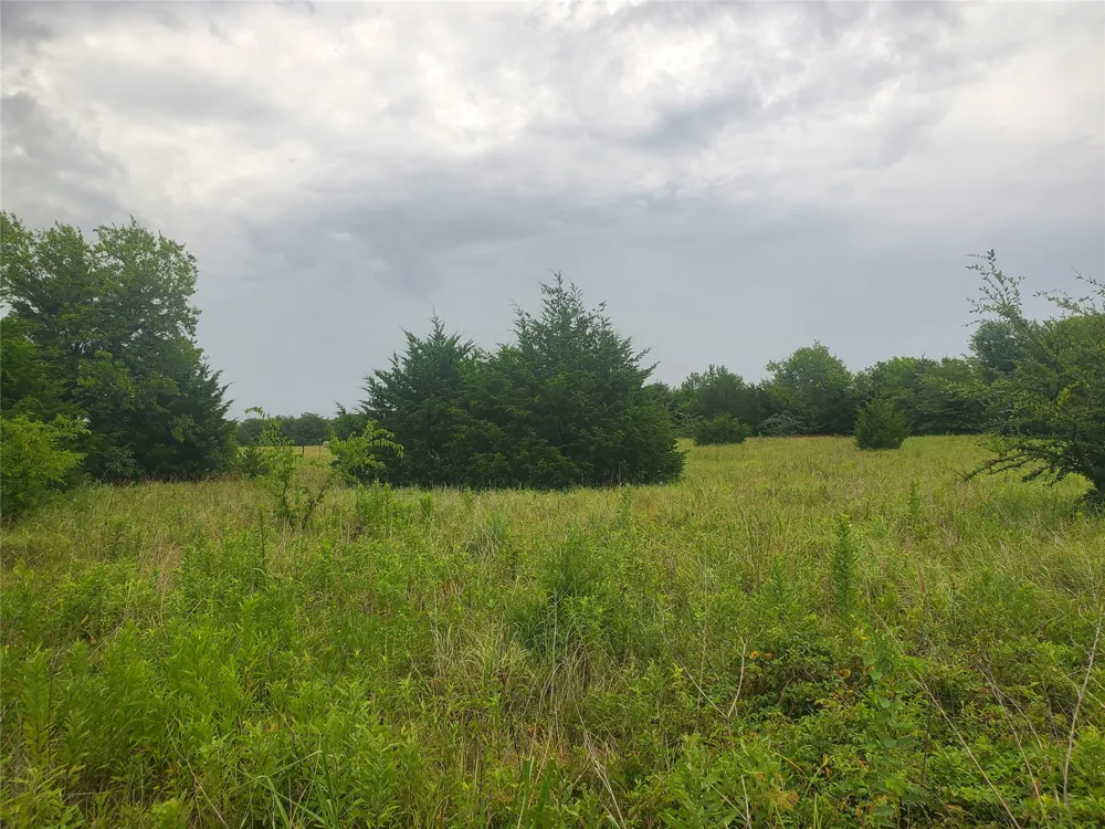 Fm 2649 Lone Oak, TX 75453