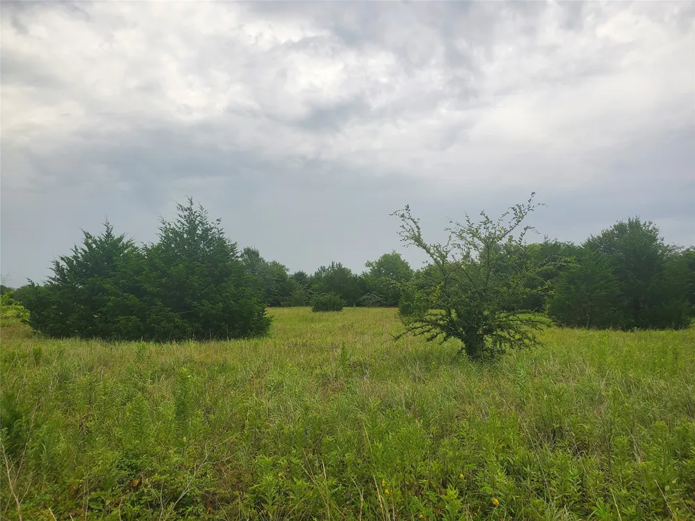Fm 2649 Lone Oak, TX 75453