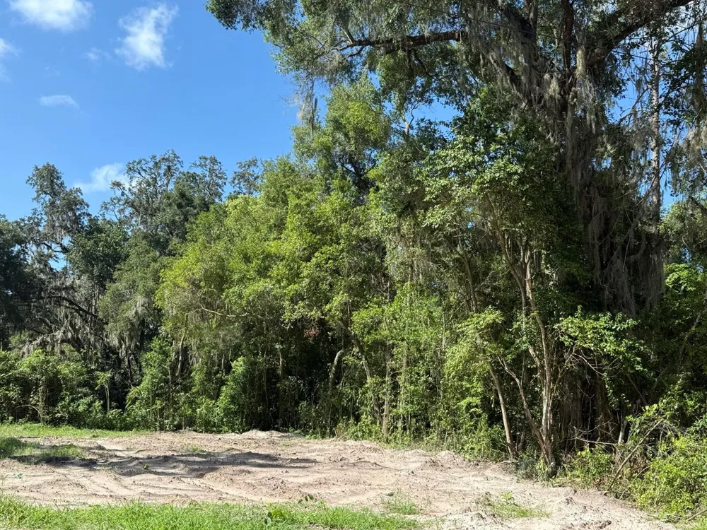 115 Roddy Lane Palatka, FL 32177