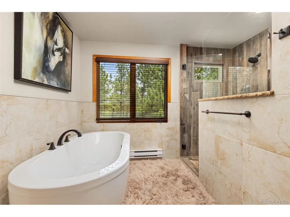 1734 Mount Evans Boulevard Pine, CO 80470