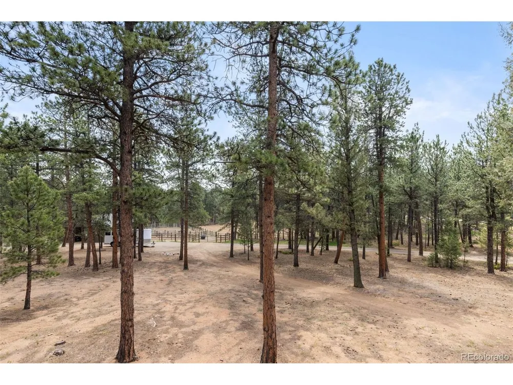 1734 Mount Evans Boulevard Pine, CO 80470