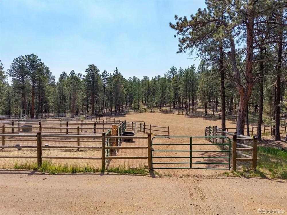 1734 Mount Evans Boulevard Pine, CO 80470
