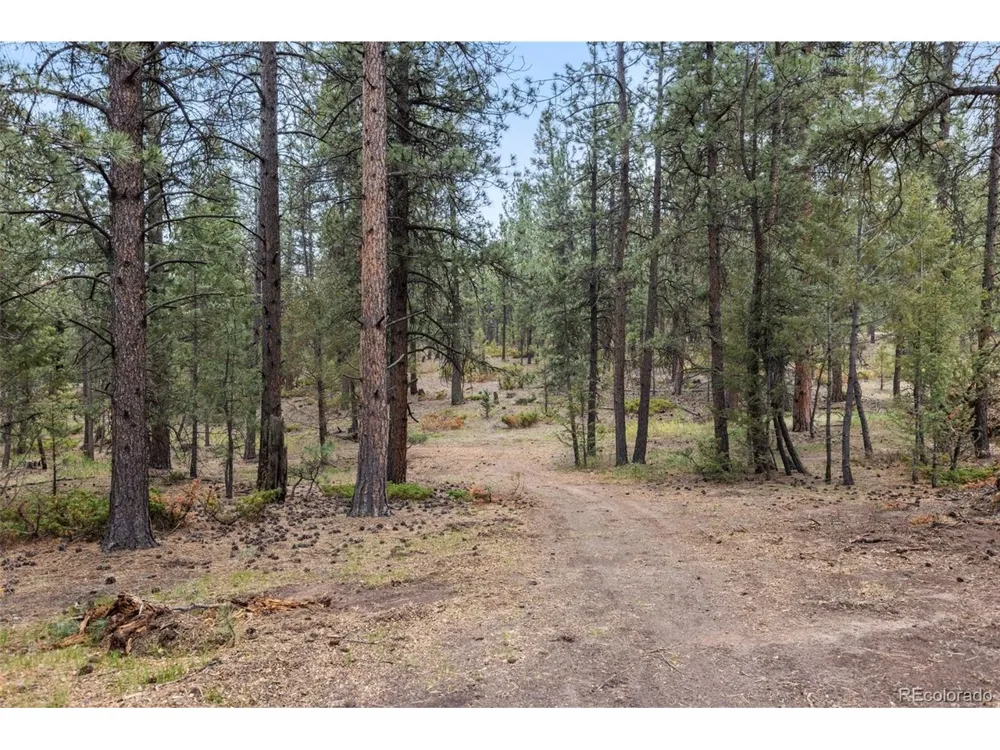 1734 Mount Evans Boulevard Pine, CO 80470