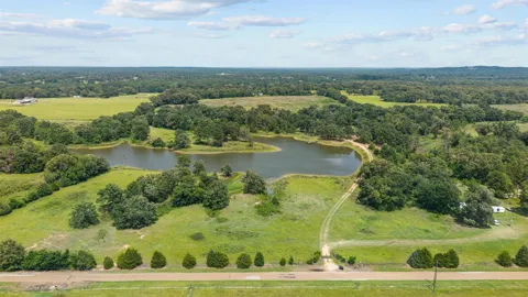 13150 County Road 3514