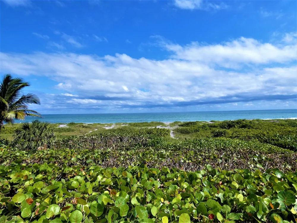 521 S Beach Road Jupiter Island, FL 33455