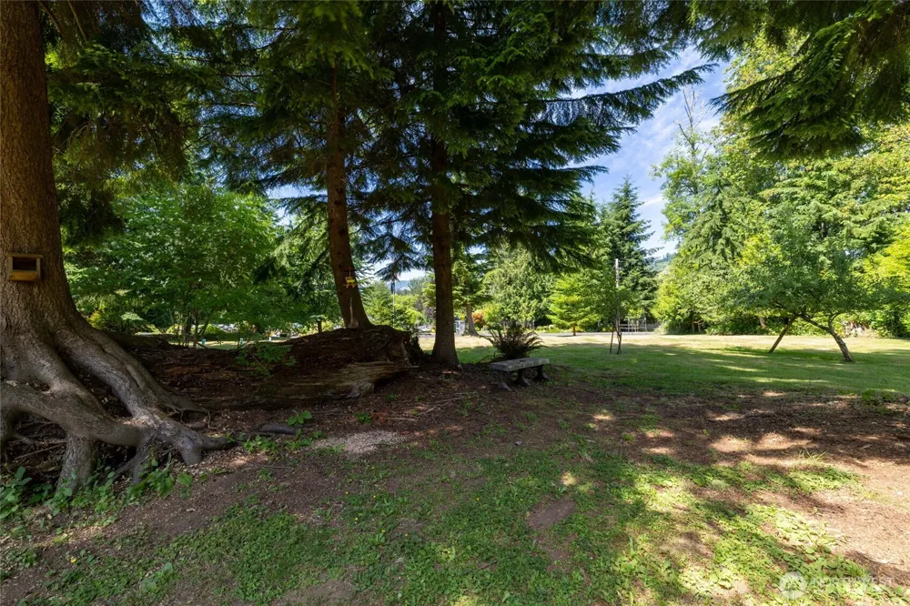 107 Skyview Drive Mossyrock, WA 98564