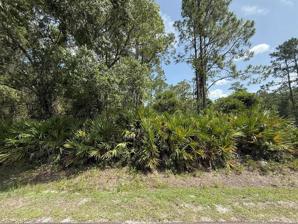 174 Millican Road Palatka, FL 32177
