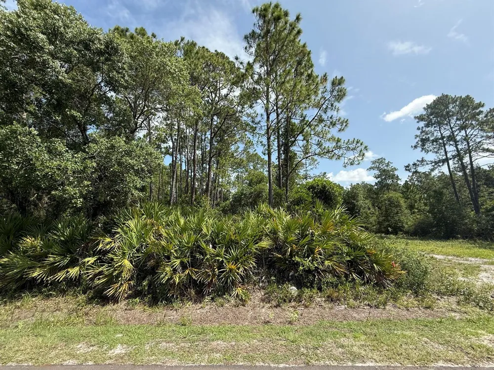174 Millican Road Palatka, FL 32177