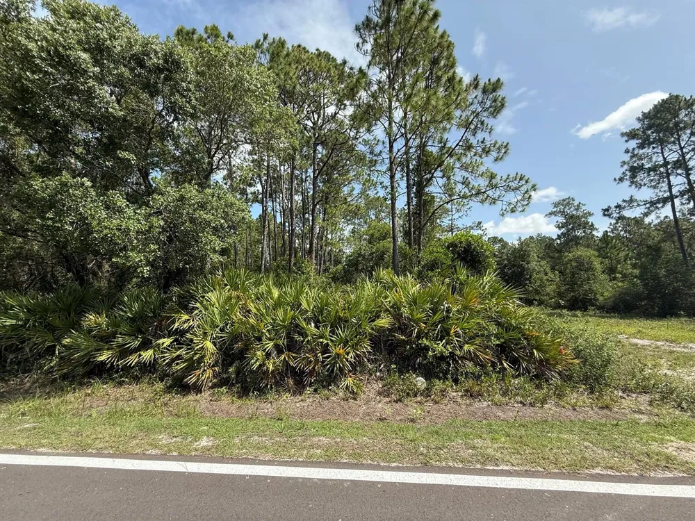174 Millican Road Palatka, FL 32177