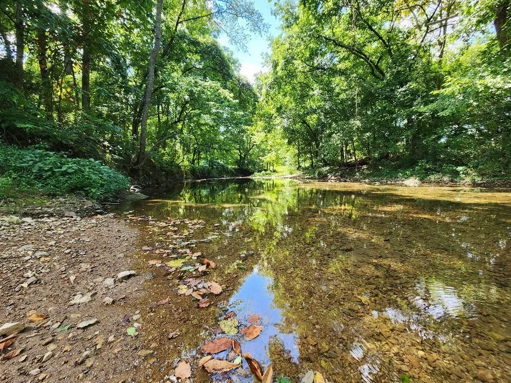 0 Taurus Farm Rd Lafayette, TN 37083