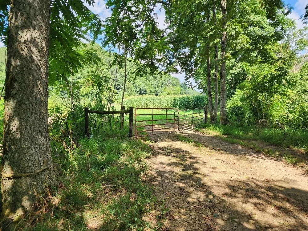 0 Taurus Farm Rd Lafayette, TN 37083