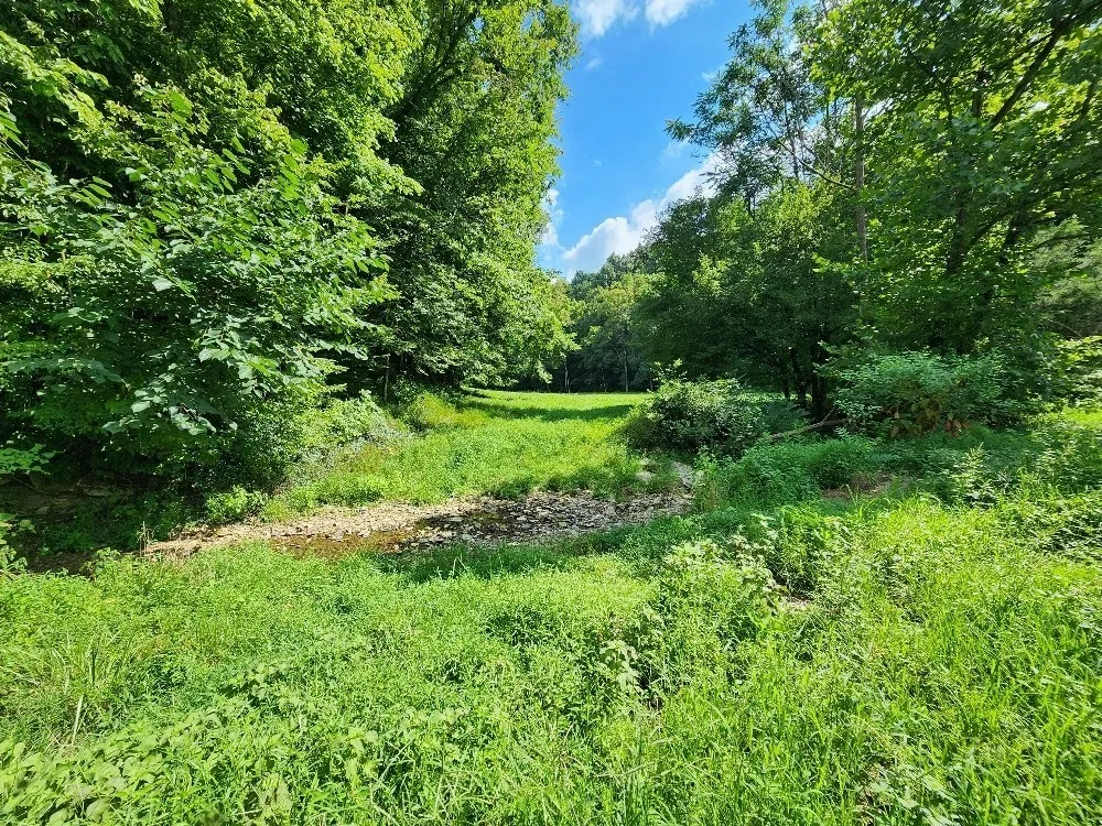 0 Taurus Farm Rd Lafayette, TN 37083