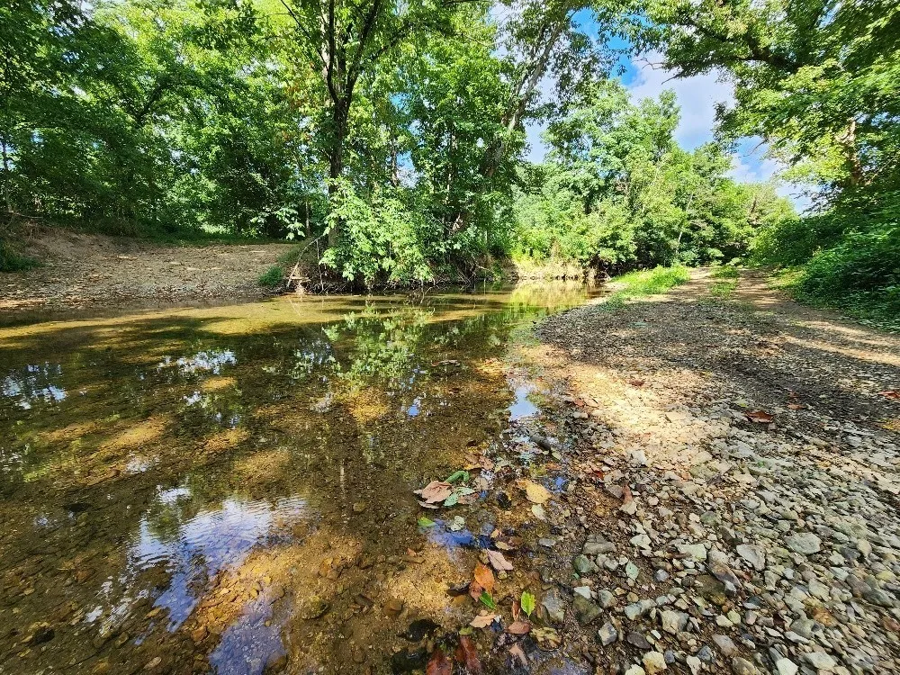 0 Taurus Farm Rd Lafayette, TN 37083