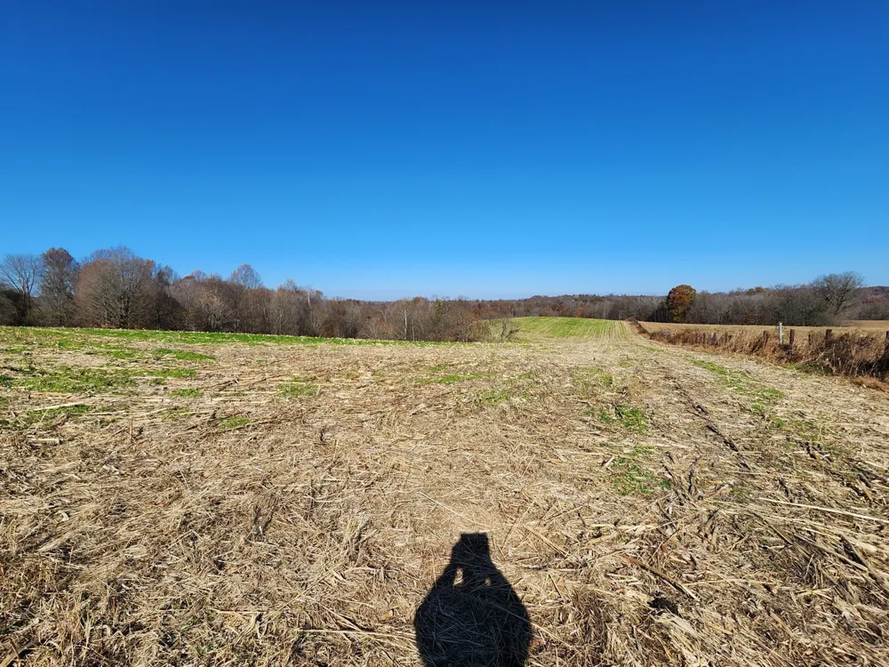 0 Taurus Farm Rd Lafayette, TN 37083