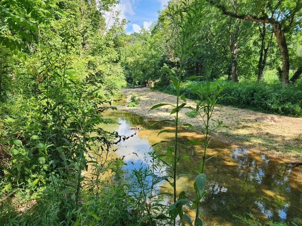 0 Taurus Farm Rd Lafayette, TN 37083