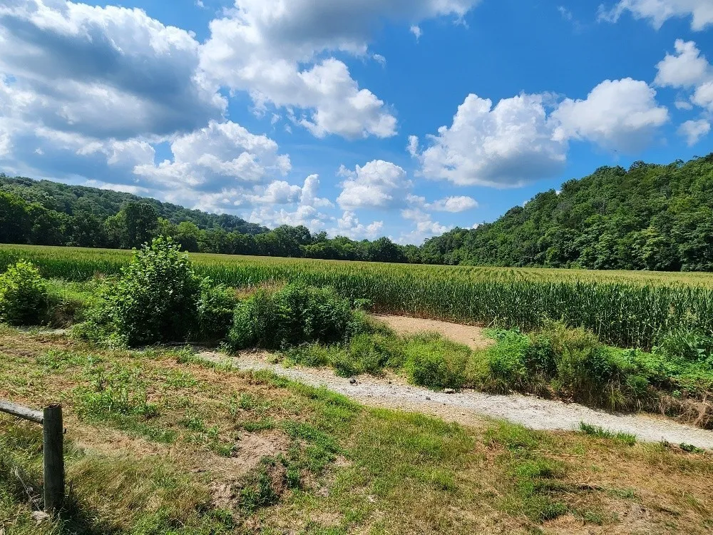 0 Taurus Farm Rd Lafayette, TN 37083