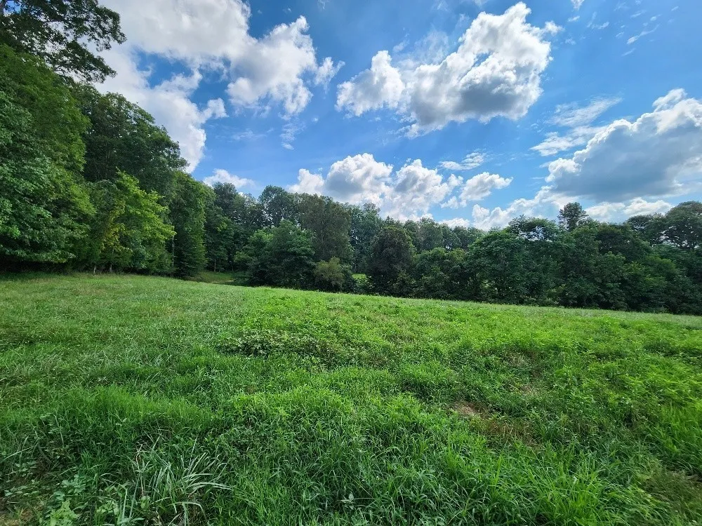 0 Taurus Farm Rd Lafayette, TN 37083