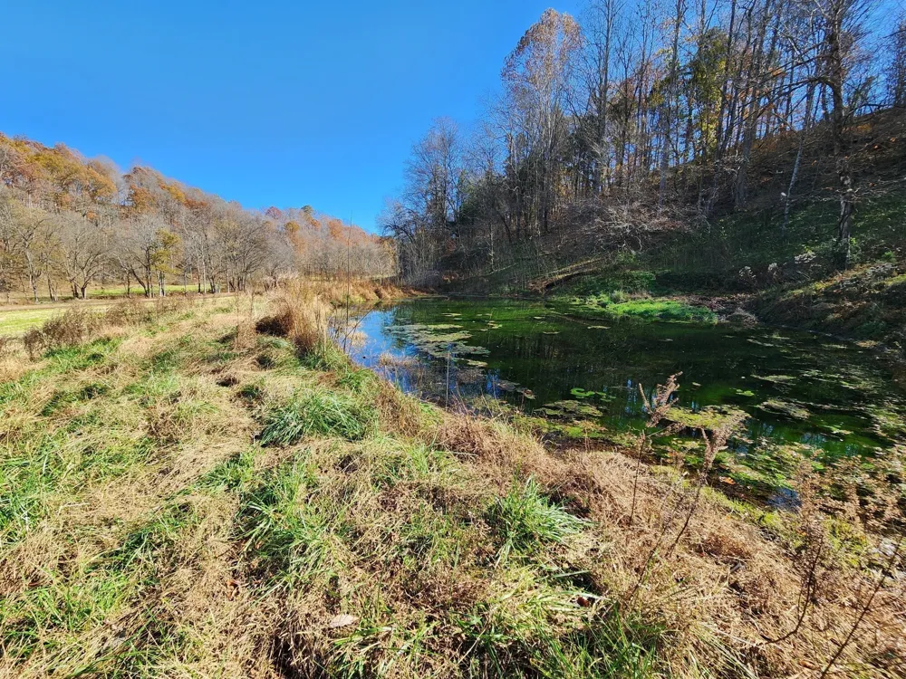 0 Taurus Farm Rd Lafayette, TN 37083