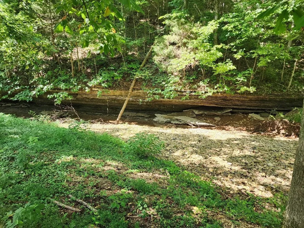 0 Taurus Farm Rd Lafayette, TN 37083