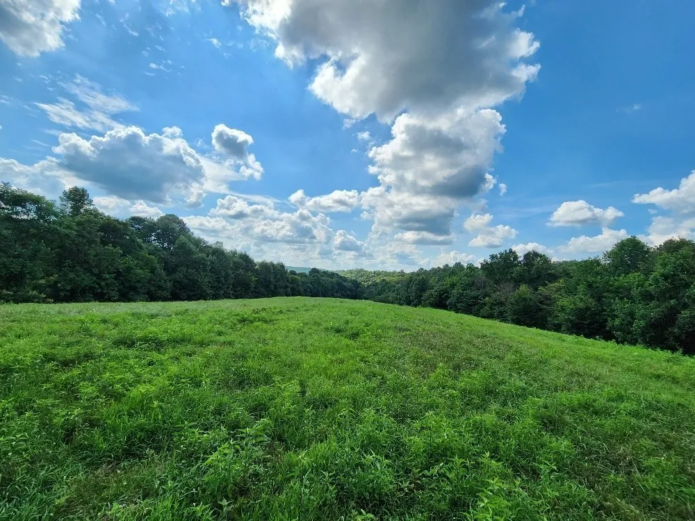 0 Taurus Farm Rd Lafayette, TN 37083