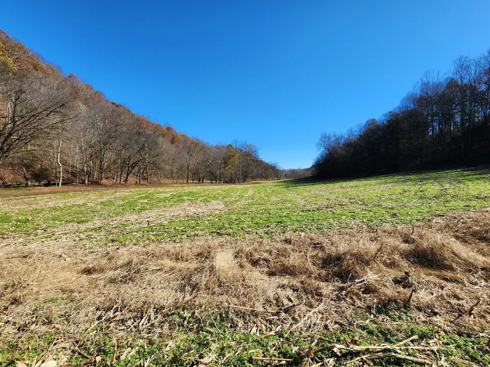 0 Taurus Farm Rd Lafayette, TN 37083