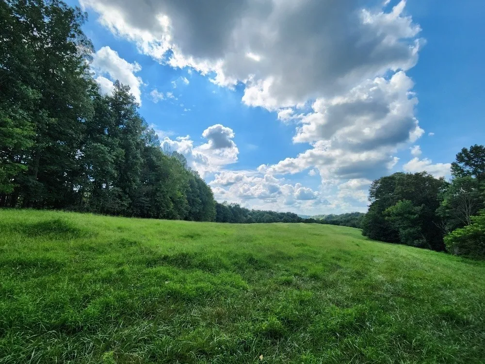 0 Taurus Farm Rd Lafayette, TN 37083