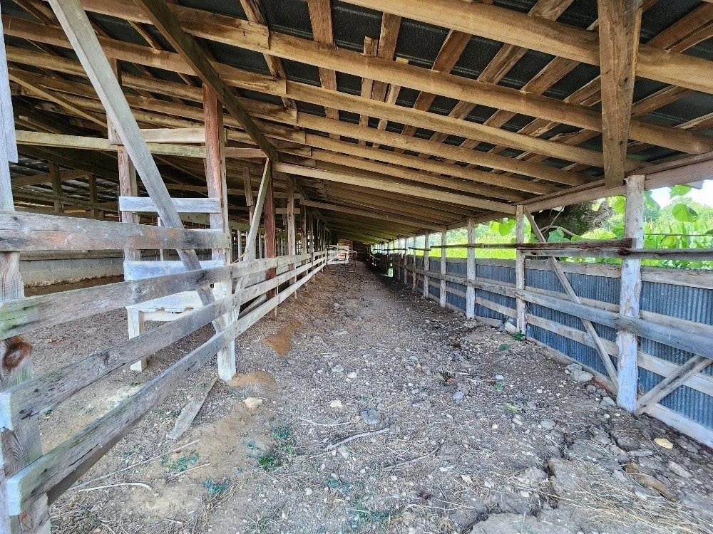 0 Taurus Farm Rd Lafayette, TN 37083