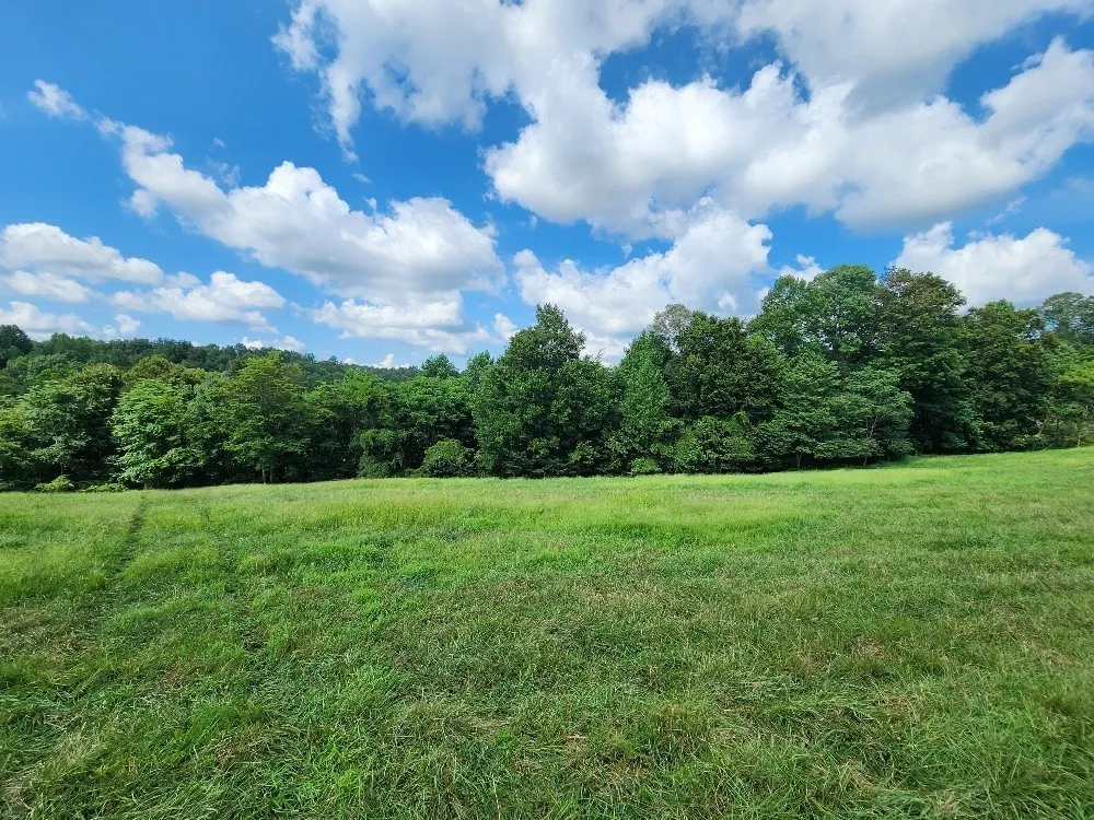 0 Taurus Farm Rd Lafayette, TN 37083