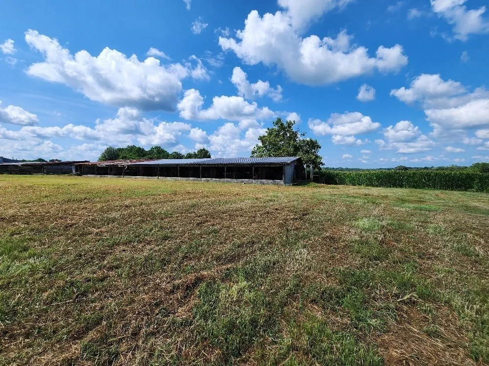 0 Taurus Farm Rd Lafayette, TN 37083