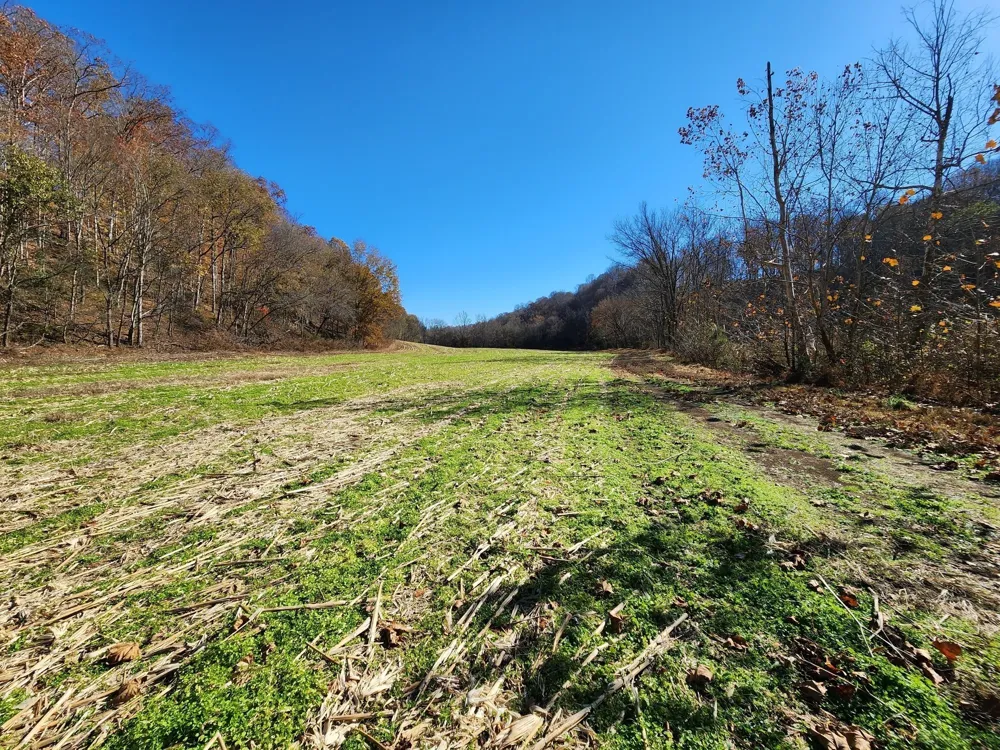0 Taurus Farm Rd Lafayette, TN 37083
