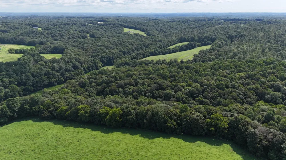 0 Taurus Farm Rd Lafayette, TN 37083