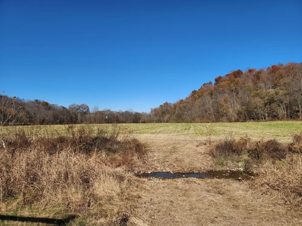 0 Taurus Farm Rd Lafayette, TN 37083