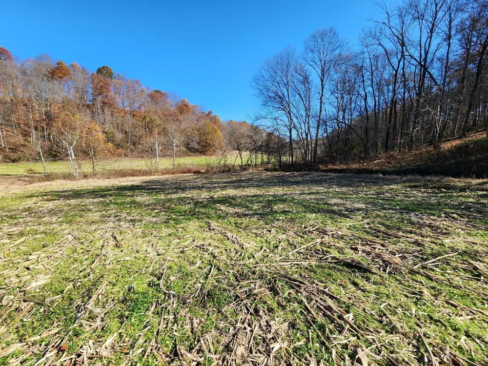 0 Taurus Farm Rd Lafayette, TN 37083