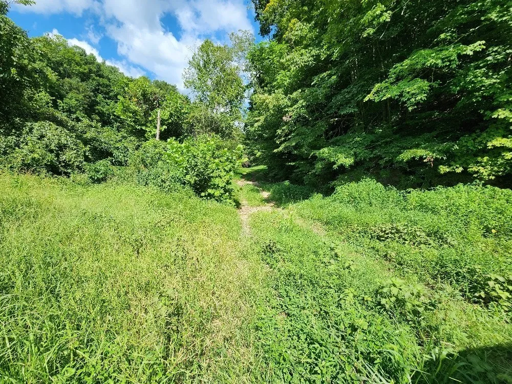 0 Taurus Farm Rd Lafayette, TN 37083