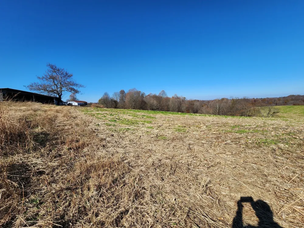 0 Taurus Farm Rd Lafayette, TN 37083