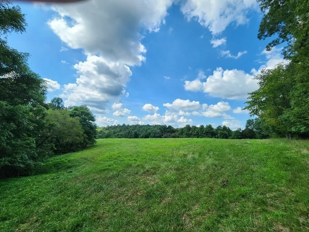 0 Taurus Farm Rd Lafayette, TN 37083