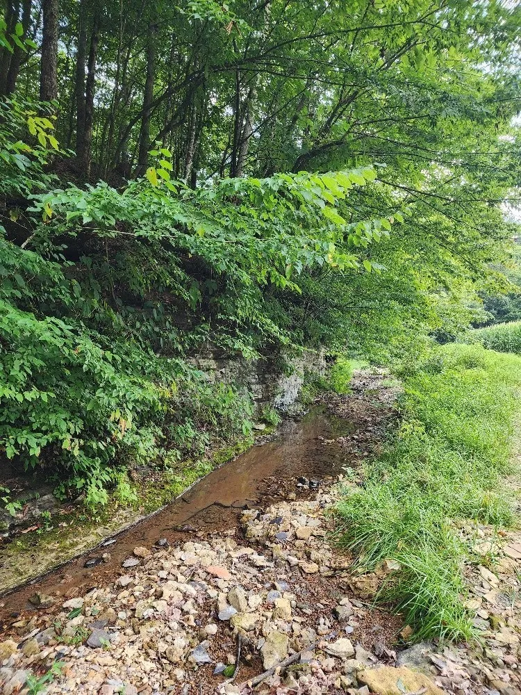 0 Taurus Farm Rd Lafayette, TN 37083