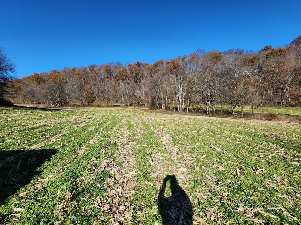 0 Taurus Farm Rd Lafayette, TN 37083